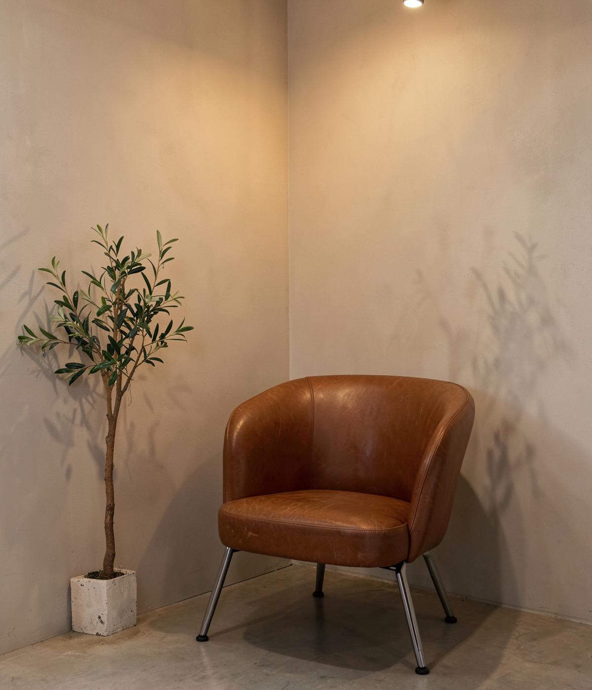 Warm corner of the salon with a leather chair and olive tree
